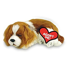 【中古】【輸入品・未使用】Perfect Petzzz Sleeping and Breathing Cavalier King Charles Puppy New soft Version