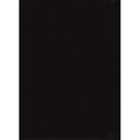 【中古】【輸入品・未使用】PromasterソリッドBackdrop???6?' x 10?'???ブラック(2)