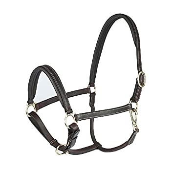 šۡ͢ʡ̤ѡ(PONY/EU P%% Dark Brown(DBR)) - Horze Largo Soft Padded Leather Halter