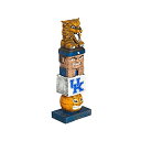 【中古】【輸入品・未使用】NCAA Kentucky Wildcats Tiki Totem