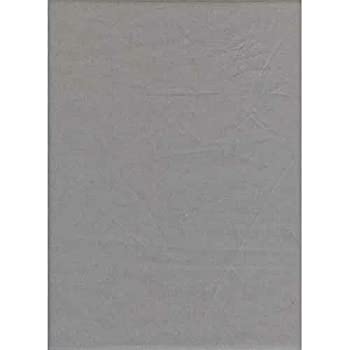 【中古】【輸入品・未使用】ProMaster 10 x 12 ソリッドグレー ポリコットン 背景