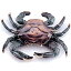 【中古】【輸入品・未使用】SPI 30748?Crab Doorknocker