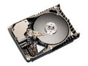 【中古】【輸入品・未使用】Hdrive 73.4?GB Maxtor 4.5?MS Ultra 160?80pin