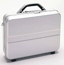 【中古】【輸入品・未使用】TZ 4.5?%ダブルクォーテ% MoldedアルミノートPCケースシルバー