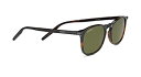 【中古】【輸入品・未使用】Serengeti Delio Shiny Dark Havana ミネラル偏光 555Nm Delio Shiny Dark Hav...