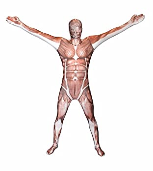 šۡ͢ʡ̤ѡMuscle Adult Morphsuit ȥĢϥLarge