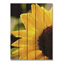 【中古】【輸入品・未使用】(70cm by 90cm) - Gizaun Art Yellow Sunflower 70cm by 90cm Inside/Outside Wall Art%カンマ% Full Colour on Cedar