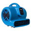 šۡ͢ʡ̤ѡXPOWER P-630 1/2 HP 2800 CFM 3 Speed Professional Air Mover Carpet Dryer - Blue by XPOWER