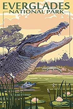 【中古】【輸入品・未使用】Theエバーグレーズ国立公園、フロリダ州???Alligatorシーン 36 x 54 Giclee Print LANT-36396-36x54