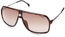 【中古】【輸入品・未使用】Carrera 1019/S サングラス CA1019S-0086-HA-6410 ダークハバナフレーム ブラウングラデーションレンズ レンズ レンズ(4)