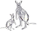 【中古】【輸入品・未使用】SWAROVSKI Kangaroo 赤ちゃんと母親 クリア