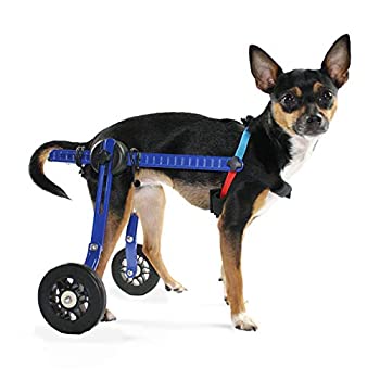 【中古】【輸入品・未使用】Walkin' Wheels Dog Wheelchair - XS for Mini/Toy Breeds 2-10 Pounds - V..