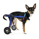 【中古】【輸入品・未使用】Walkin' Wheels Dog Wheelchair - XS for Mini/Toy Breeds 2-10 Pounds - Veterinarian Approved - Dog Wheelchair for Back Legs