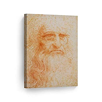 šۡ͢ʡ̤ѡLeonardo DA Vinci Хץ ͭ̾ʳ 륢 ۡǥ졼 V30 36%֥륯% x 24%֥륯% - Ready to Hang