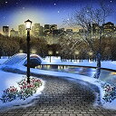 【中古】【輸入品・未使用】写真バックドロップ???Winter City Park with Cleared Walkway???10?x 10?ft。シームレスなファブリック
