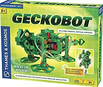 Geckobot (Robotics)
