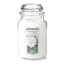 【中古】【輸入品・未使用】Yankee Candle Large Jar Candle%カンマ% White Gardenia by Yankee Candle