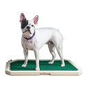 【中古】【輸入品・未使用】ペットセーフ (PetSafe) ピドルポット