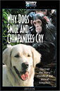 Why Dogs Smile and Chimpanzees Cry 