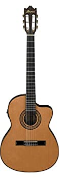 Ibanez アイバニーズ GA Series GA5TCE Thinline Classical エレアコ Natural アコースティックギター アコギ ギター (並行輸入)