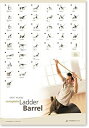 【中古】【輸入品・未使用】STOTT PILATES ウォールチャート - コンプリートラダーバレル
