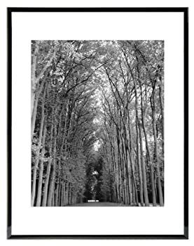 šۡ͢ʡ̤ѡMCS Industries Black Gallery Wood Wall Frame%% 11 by 1...