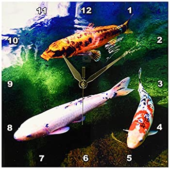 【中古】【輸入品・未使用】3Dローズ 釣り - 中国の鯉 魚 - 壁時計 - 約25 x 25cm (10 x 10インチ) 壁時計 - dpp_2879_1 (並行輸入)