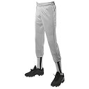 yÁzyAiEgpzChampro Pull Up Baseball Pant Youth Medium