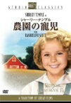 【中古】【輸入品・未使用】シャーリー・テンプル 農園の寵児 [スタジオ・クラシック・シリーズ] [DVD]