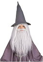 【中古】【輸入品・未使用】Gandalf Wig & Beard - Lord of the Rings ガンダルフウィッグ&ビアード-ロード?オブ?ザ?リング♪ハロウィン♪サイズ:One-Size
