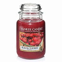 【中古】【輸入品 未使用】Yankee Candle Large Jar Candle カンマ Black Cherry by Yankee Candle