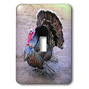 【中古】【輸入品・未使用】3drose LLC lsp _ 4042?_ 1?Wild Turkey Single切り替えスイッチ