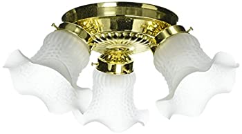 【中古】【輸入品・未使用】Boston Harbor F6BB03-22013L 5988936 調光機能付き 天井照明器具 (3) 60/13 W ミディアム A19/CFLランプ 光沢