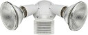 【中古】【輸入品・未使用】RAB Lighting LU300W 110 Luminator Floodlight Kit%カンマ% Polycarbonate...