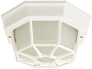 【中古】【輸入品・未使用】(Rust) - Trans Global Lighting 40581 RT The Standard 1 Light Small Outdoor Flushmount - Rust 【中古】【輸入品・未使用】(Rust) - Trans Global Lighting 40581 RT The Standard 1 Light Small Outdoor Flushmount - Rust