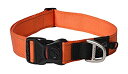【中古】【輸入品・未使用】ログズユーティリティー ランディングストリップ犬用首輪、XXLサイズ Orange (並行輸入品)