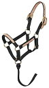 【中古】【輸入品・未使用】(Large Mini%カンマ% black) - Tough 1 Miniature Nylon Break-Away Halter