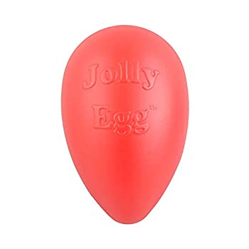 yÁzyAiEgpzJolly Pets ߂܂ȂvȂ܂^{[ The Jolly Egg W[EGbO (LTCY/30.48cm) bh