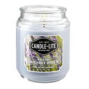 【中古】【輸入品・未使用】Candle-lite Essentials 510g Terrace Jar Candle (並行輸入品)
