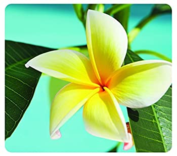 【中古】【輸入品・未使用】Recycled Mouse Pad%カンマ% Nonskid Base%カンマ% 7-1/2 x 9%カンマ% Yell..