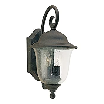 šۡ͢ʡ̤ѡ(oxidized bronze) - Sea Gull Lighting 8459-46 2-Light Tra...