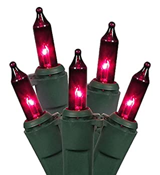 Vickerman Mini Light Set Features 100 Bulbs Lights on Green Wire and 4 Bulb Spacing for Indoor/Outdoor Use%カンマ% 33'%カンマ% Purple by Vick