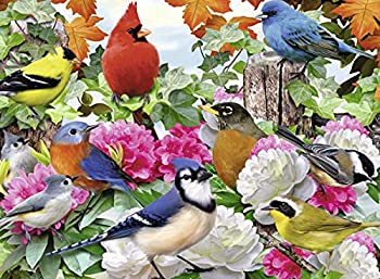 【中古】【輸入品・未使用】500ピース ジグソーパズル 庭の鳥 Garden Birds (49 x 36 cm)