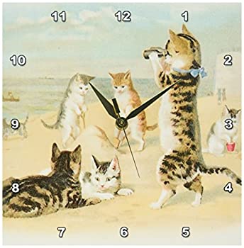 【中古】【輸入品・未使用】3dRose dpp_48557_1 Cats at The Beach 壁時計 25.4x25.4cm