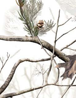 ޡåȥץ饹㤨֡šۡ͢ʡ̤ѡLensCoat(󥺥 LCS150500SN  150-500mm F5.6-6.3 DGOS HSM 󥺥СAPΡ [¹͢]פβǤʤ47,216ߤˤʤޤ