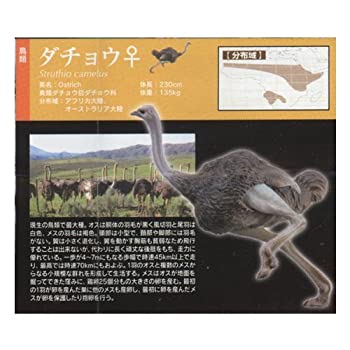 【中古】【輸入品・未使用】奇譚クラブ(KITAN CLUB) ネイチャーテクニカラー サバンナ ダチョウ(メス) ガチャポン フィギュア