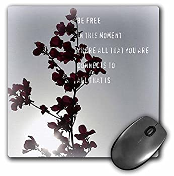 【中古】【輸入品・未使用】3dRose LLC 8 x 8 x 0.25インチ マウスパッド Free Moment Poetry Zen Floral Inspirations (mp_30898_1)