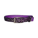 【中古】【輸入品 未使用】【並行輸入品】Yellow Dog Design Uptown Collar Medium Purple Leopard on Purple Polka