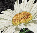 yÁzyAiEgpzThea Gouverneur 18 Count Marguerite on Aida Counted Cross Stitch Kit%J}% 6 x 5.5 by Thea Gouverneur