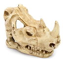 【中古】【輸入品・未使用】Penn Plax Rhino Skull Aquarium Decoration by Penn-Plax